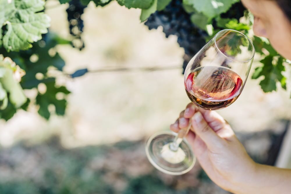 The Ins and Outs Of Acidity In Wine