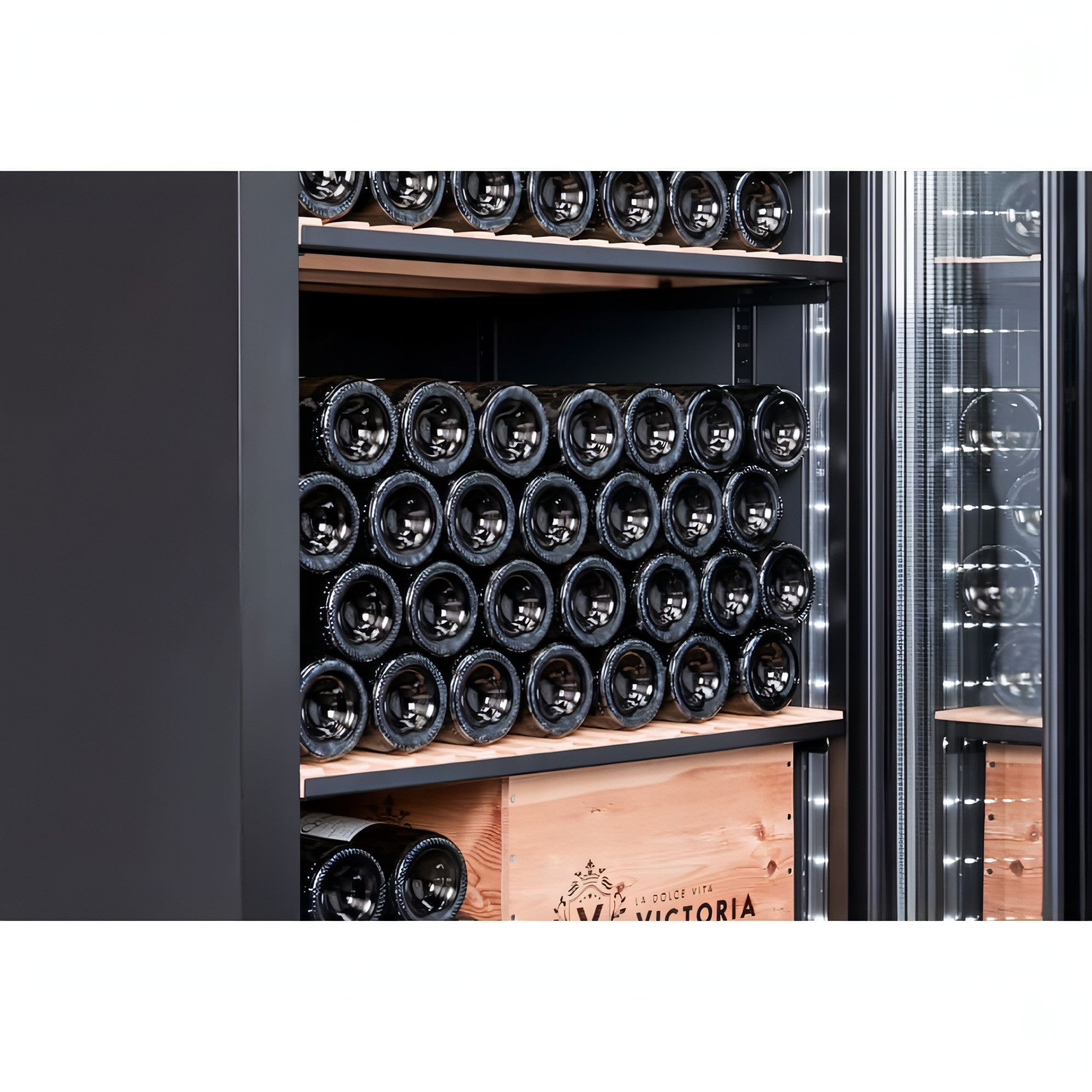 mQuvée Velvet 220 Glass - Single Zone 273 Bottles - Tall Wine Cabinet